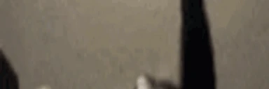 LongestJigglin2 emote