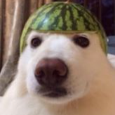 lowqualityrobloxvideos avatar