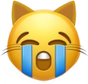 cat_sob emote