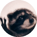 raccoonSpin emote