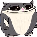 Catgers emote
