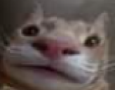 hungry static emote