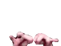hackingCD emote