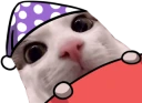 plinkwokege emote