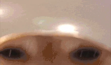 hey emote