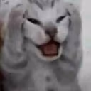 CatSTFU emote