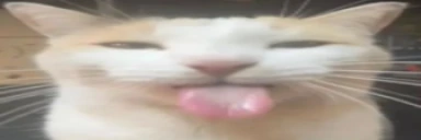 bleh emote