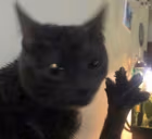 4DABLOONS emote