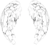 wings emote