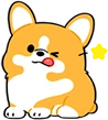 Corgi_Wink emote