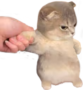 kitterhmph emote