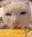 BUSSIN emote