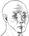 scared_wojak emote