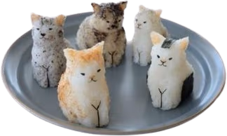 kittyrice emote