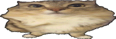 scwawa animated emote