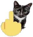 FUcat emote