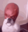 daredevil animated emote