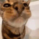 Drink emote