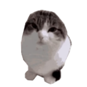 jr_mime avatar