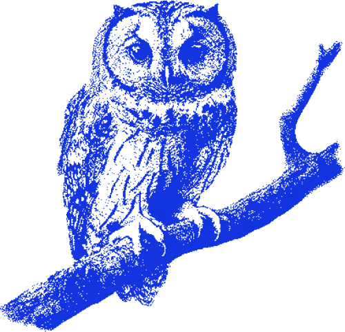 Owl emote