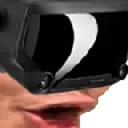 vrPog emote