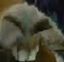 dxd emote