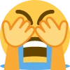 WHYYYYYYYYYYYY emote