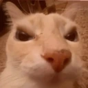 LaCaraEnojao emote