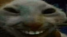 xdd emote