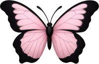 Pink_black_butterfly emote
