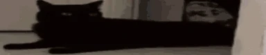 vanish emote