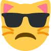 disapproving_cool_kitty emote
