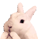 aylinaGIGGLES emote