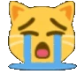 catsob emote
