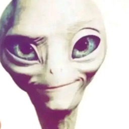 rexregum avatar