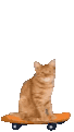 KICKFLIP animated emote