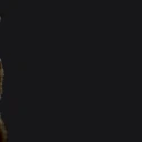 ANYBUHERS emote