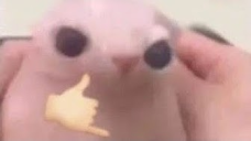binguswicked static emote