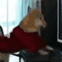 ShibaChat emote