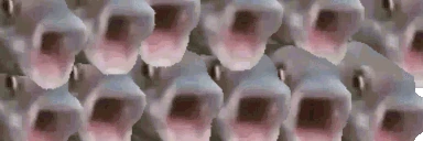 chooooir emote
