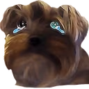 BBSad emote