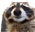 SzymekSowa emote