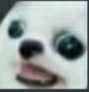 wtf emote