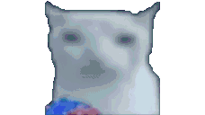 VeryDance animated emote