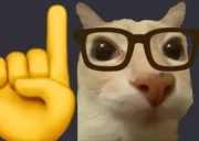 Hecho emote
