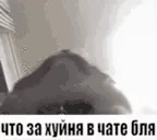 catChat emote