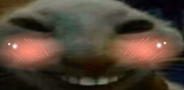 xddFlush emote