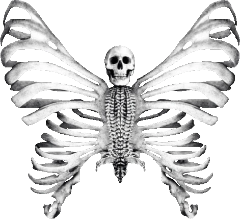 skeleton_butterfly emote