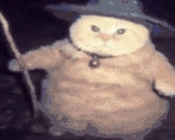 fatasswizardfliesaway emoji