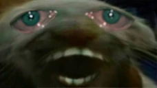 dds emote